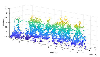 Ergebnisdarstellung einer LiDAR Messung der Blattfl äche: Apfelbaumreihe als 3D-Punktwolke (Quelle: Zude)