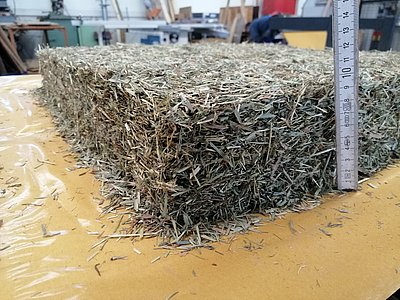 Plant material fleece for further processing into fiberboard (Photo: Lühr/ATB)