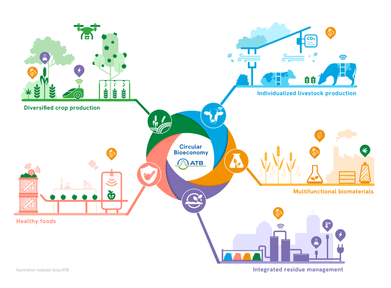 System approach of ATB research for a bio-based circular economy (Graphic: Golz/ATB)