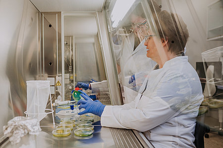 Sterile bench in the microbiology lab (Photo: Manuel Gutjahr)