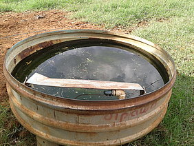 Drinking trough for grazing cattle in Brazil (Photo: Drastig)
