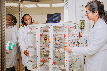 Adjustable CA storage rooms with mobile measuring station (Photo: Manuel Gutjahr)