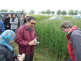 Vor Ort im Feld (von links): Dr. Tinia Ghazni und Prof. Azni bin Idris (UPM) und Dr. Andreas Meyer-Aurich (Projektleiter ATB) (Foto: ATB)
