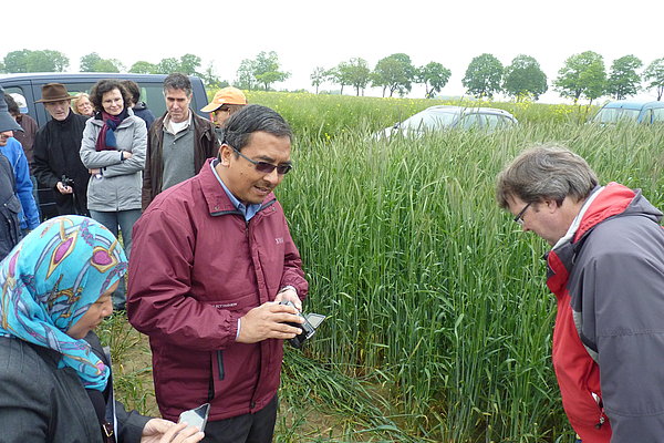 Vor Ort im Feld (von links): Dr. Tinia Ghazni und Prof. Azni bin Idris (UPM) und Dr. Andreas Meyer-Aurich (Projektleiter ATB) (Foto: ATB)
