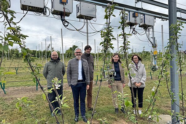 5 people behind apple trees and a sensor.