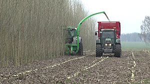 Mower chopper developed by ATB for harvesting in SRC (Photo: ATB)