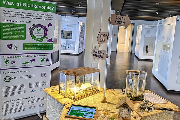 Exponat 'Komm in den Kreislauf' (Foto: proWissen Potsdam)