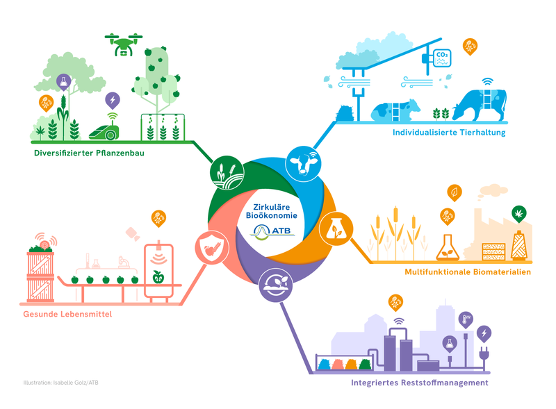 Systemansatz der ATB-Forschung für eine biobasierte Kreislaufwirtschaft (Golz/ATB)
