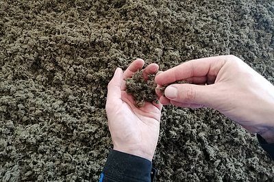 Fibers from the processing of fen biomass (Photo: Lühr/ATB) 
