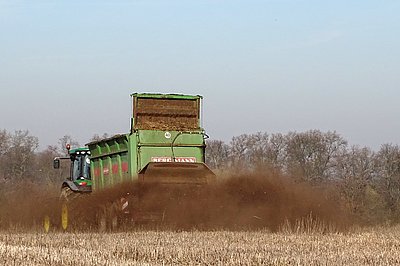 Applying chicken manure (Photo: Stollberg/ATB)