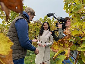 ATB-Alumna Dr. Helena Ponstein erläutert Potentiale für verringerte Treibhausgasemissionen im Weinbau 