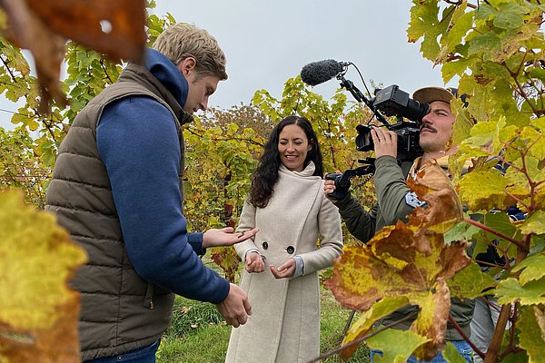 ATB-Alumna Dr. Helena Ponstein erläutert Potentiale für verringerte Treibhausgasemissionen im Weinbau 
