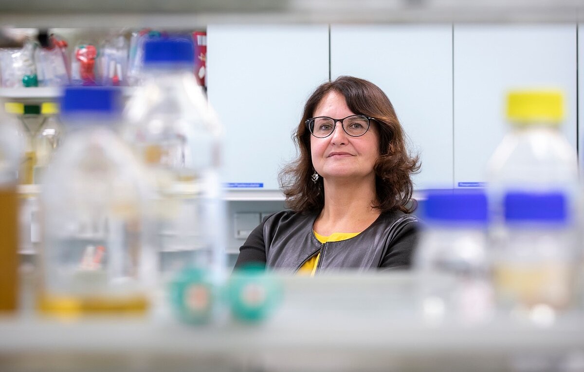 Bodenwiederherstellung mit Mikrobiomen und grüner Chemie