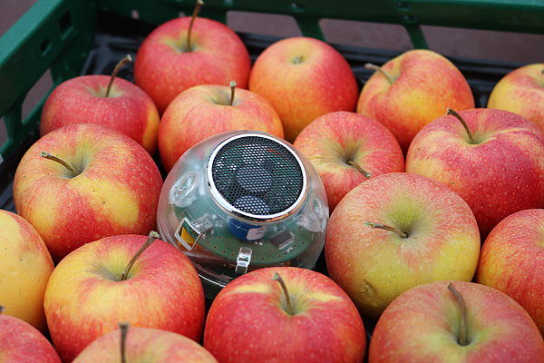 The sensor measures oxygen and carbon dioxide to determine the breathability of the fruit. (Photo: Foltan/ATB)
