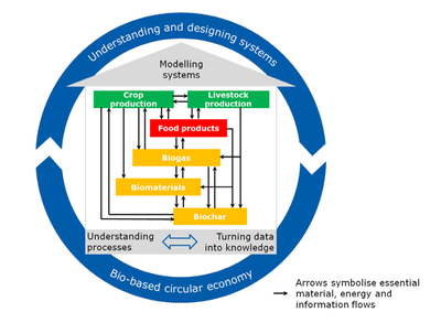 Systemic approach for ATB's research on a biobased circular economy (Prochnow/ATB)