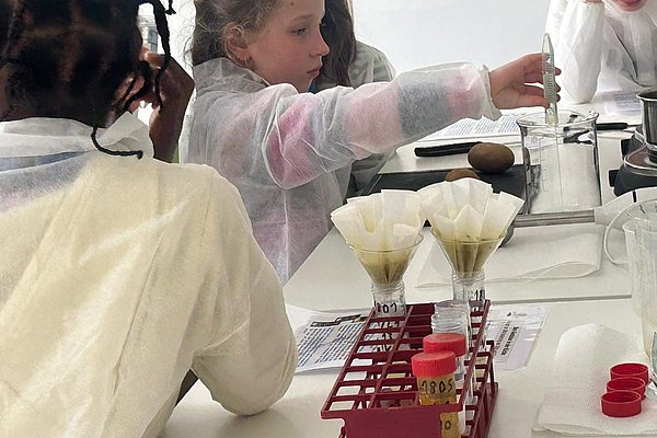 DNA extraction from kiwis