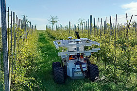 Infield-ag-robotics (Photo Käthner/ATB)