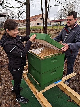 slightly open bee hive