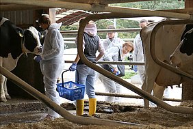 Entnahme von Gülleproben im Stall in Groß Kreutz zur Messung von Ammoniak- und Treibhausgasemissionen (Foto: ATB)
