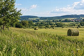 Grasland mit Heuballen