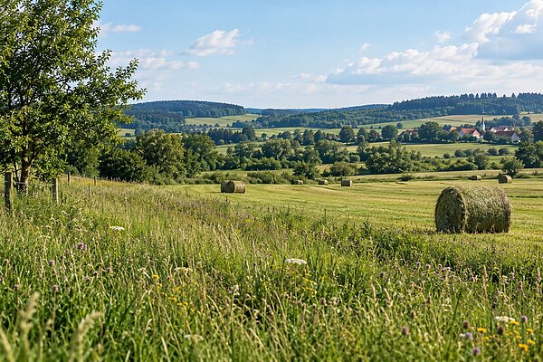 Grasland mit Heuballen