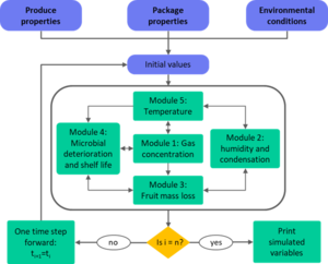 Steps for model integration and simulation (Source: Ali Jalali)
