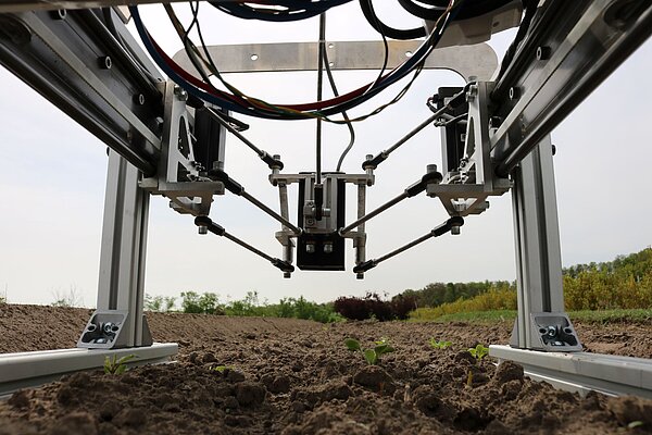 Laser module on actuator above small vegetable plants in the field