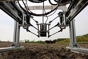 Laser module on actuator above small vegetable plants in the field