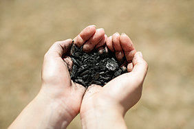 Biochar for the soil (Photo: Surup / ATB) 
