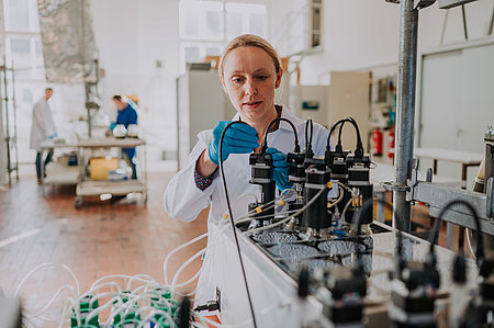 Versuchsaufbau zur Durchführung von Batch-Gärtests im Biogastechnikum (Foto: Manuel Gutjahr)