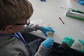 Milch auf Platten ausstreiche