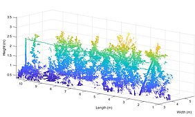 Mit Hilfe eines mobilen LiDAR Laserscanners generierte 3D-Punktewolke einer Apfelbaumreihe (Quelle: Nikos Tsoulias)