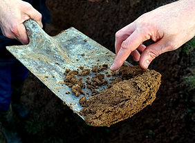 Shovel with soil sample (Picture: Gebbers/ATB)