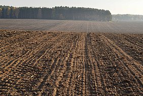 Acker im Herbst. Aufgrund seiner Filter-, Puffer- und Stoffumwandlungseigenschaften ist der Boden gleichzeitig ein Abbau-, Ausgleichs- und Aufbaumedium, insbesondere im Hinblick auf den Wasser- und Nährstoffkreislauf (Foto: ATB)