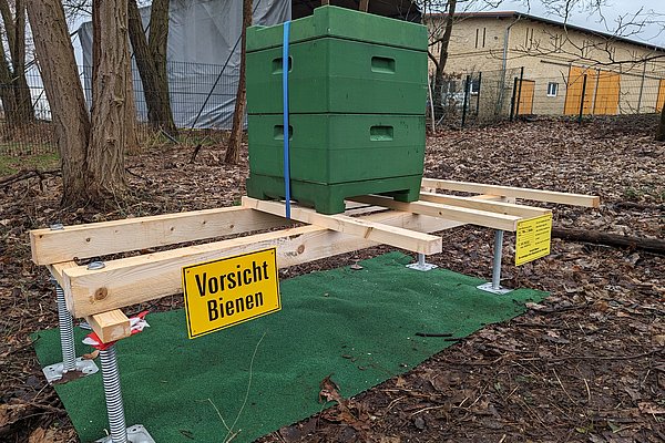 The freshly installed bee hive behind the CIRCLE.