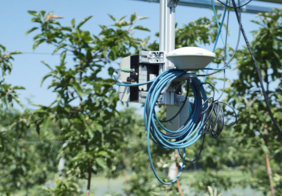 Laser scanner mounted at a circular conyeyor for automated scanning of fruit characteristics in the field (Photo: ATB)