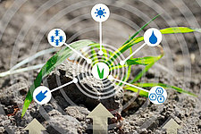 Schematic illustration: Recording of various plant cultivation parameters (Source: ATB)