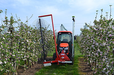 Tree individual flower thinning for yield regulation (Photo: Riehle/KOB Bavendorf)