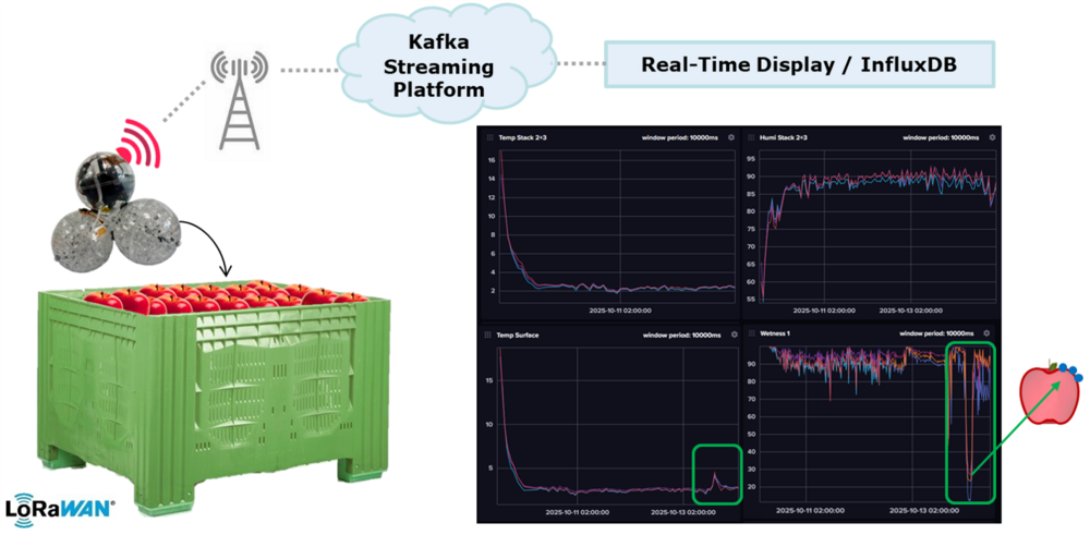 Illustration of a box of apples and the measured data