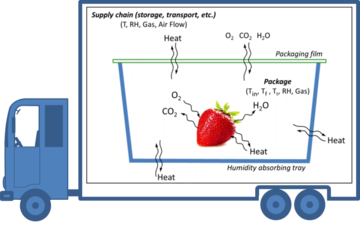 Verpackungsdesign auf der Grundlage mathematischer Modellierung