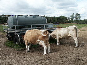 Mobile trough (Photo: ATB)