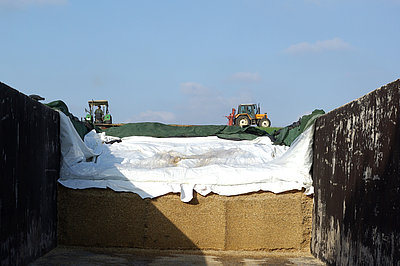 Futter - Bestandteil von Stoffströmen in Tierhaltungssystemen (Foto: ATB)