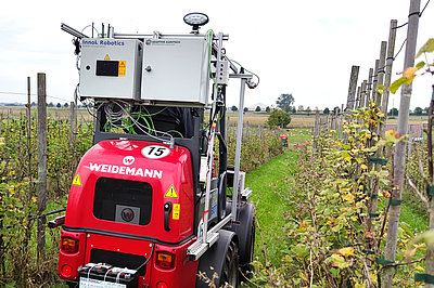 Automated management of undergrowth in shrubberry systems (project SunBot) (Photo: ATB)