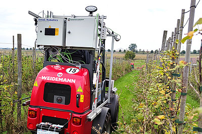 Automatisierte Unterwuchspflege in Strauchbeerenanlagen (Projekt SunBot) (Foto: ATB)