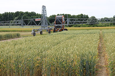 Irrigation system for field crops in Marquardt (Photo: ATB)