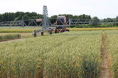 Bewässerungssystem für Feldkulturen in Marquardt (Foto: ATB)