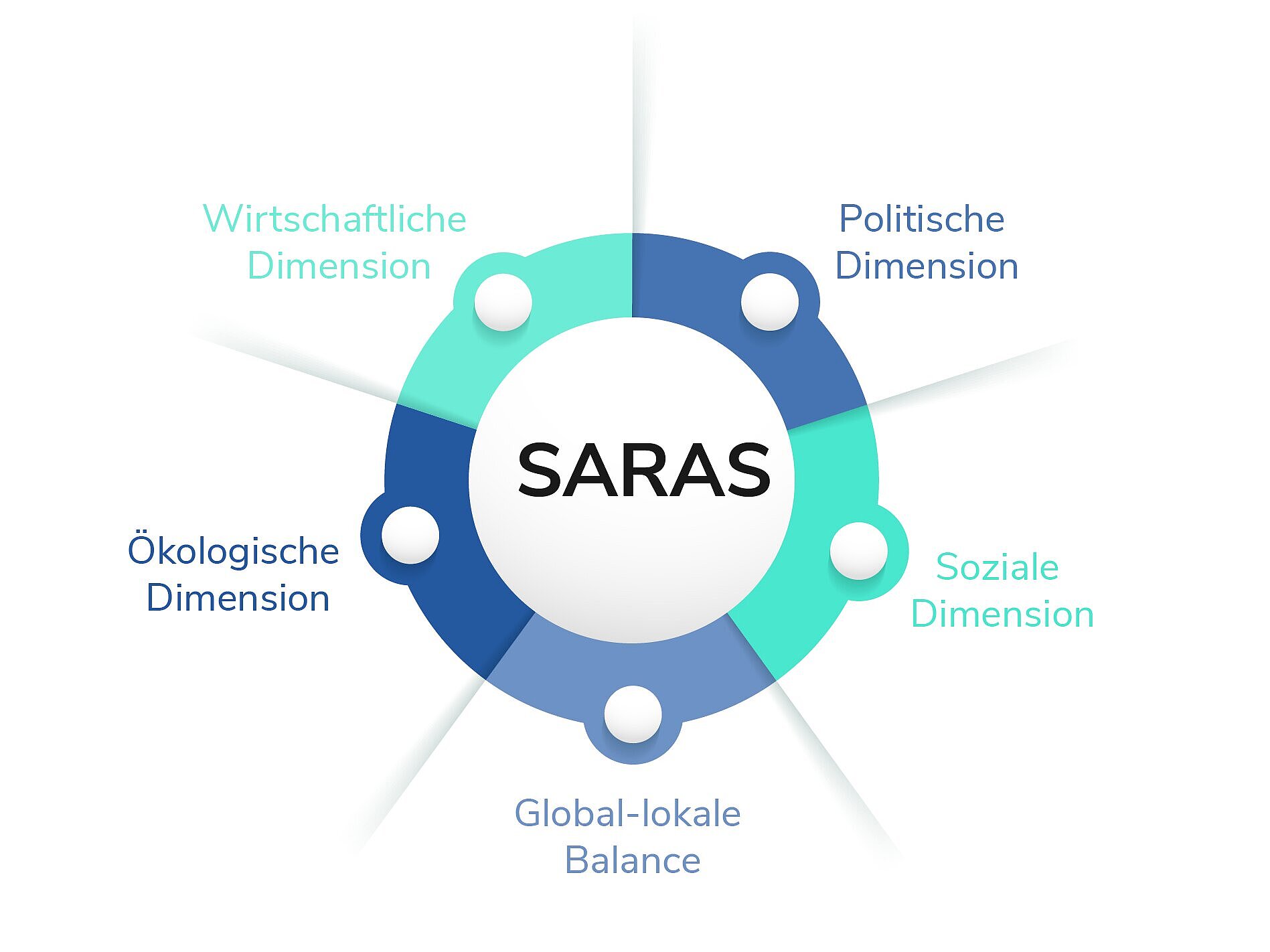 Five dimensions (outside) to achieve SARAS (circle in the centre).