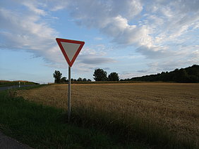 Vorfahrtszeichen an Getreidefeld 