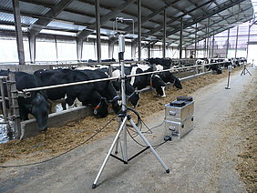Feldmessung in einem Milchviehstall (Foto: ATB)