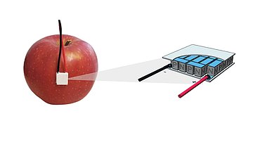 Heat flux sensor